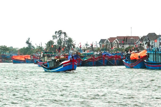 Quảng Ngãi cấm biển từ 17h, sẵn sàng sơ tán gần 8.000 dân đảo Lý Sơn