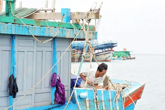 Ngư dân ven biển rốt ráo di chuyển tàu thuyền vào nơi tránh bão
