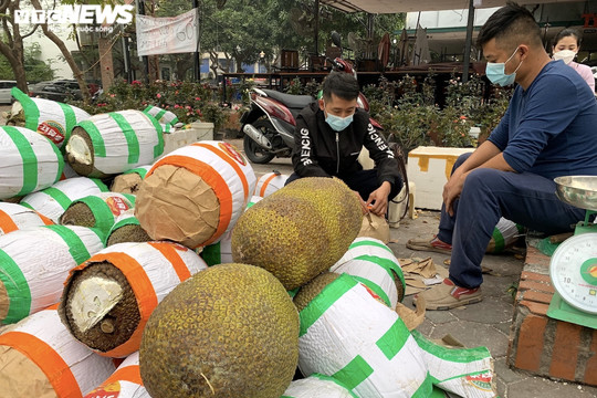 Mít bị tắc ở cửa tắc khẩu quay về bán đổ đống tại Hà Nội, giá 10.000 đồng/kg