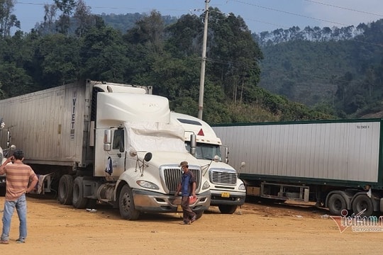 Tắc hàng sang Trung Quốc: Tin buồn mới nhất, đến Tết chưa hết ùn ứ