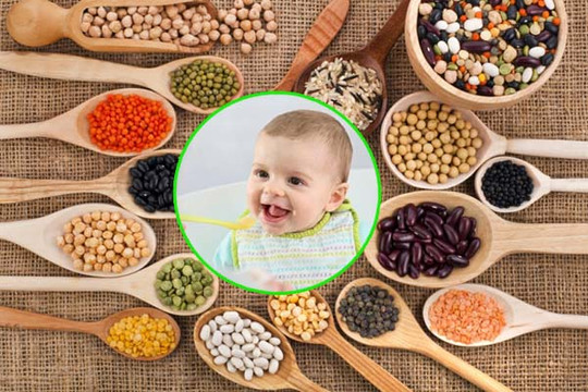 Các loại hạt ăn dặm nhiều dinh dưỡng cho trẻ và những lưu ý khi chế biến
