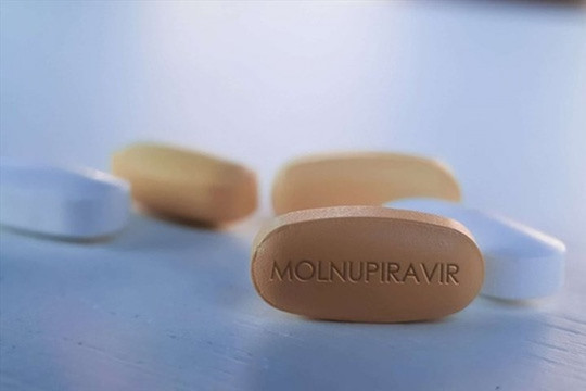 Hơn 400.000 liều Molnupiravir điều trị COVID-19 đã được phân bổ