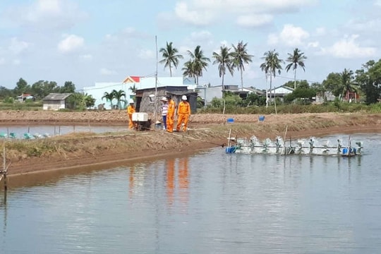 Cần mở rộng chương trình quan trắc trên toàn bộ Đồng bằng sông Cửu Long để hiểu cơ chế sụt lún