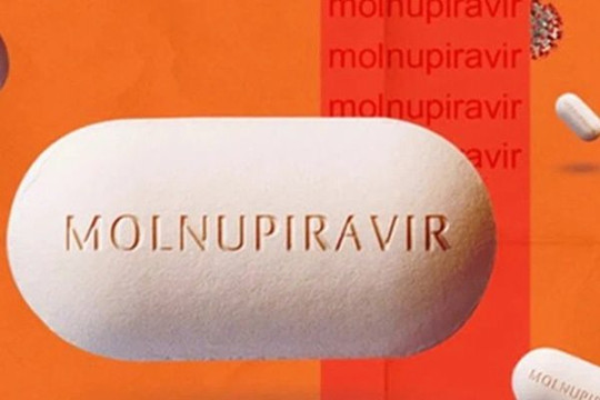 Nóng: Bộ Y tế đưa ra những cảnh báo, thận trọng khi dùng thuốc Molnupiravir