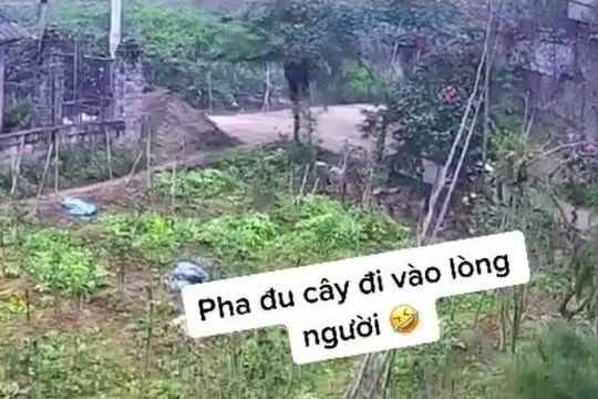 Đang lái xe, thanh niên leo tót lên cây vì tiếng kêu dữ tợn