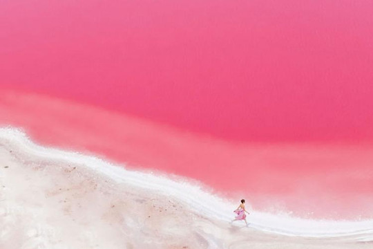 Loạt tác phẩm nhiếp ảnh tuyệt đẹp về hồ nước màu hồng kỳ diệu ở Tây Úc