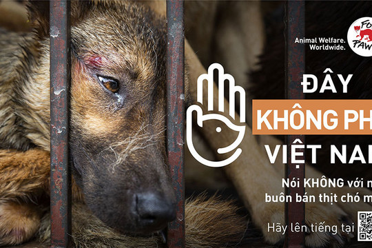 Đa số người dân Việt muốn có lệnh cấm buôn bán thịt chó, mèo