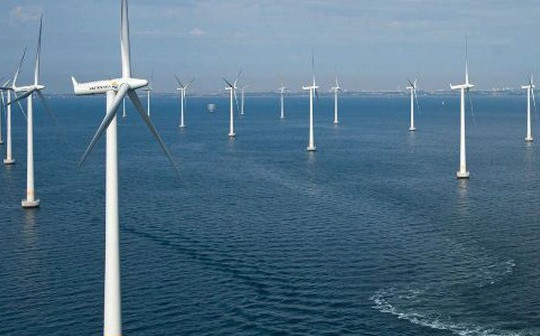 Thanh tra việc giao khu vực biển đối với các dự án điện gió, điện mặt trời