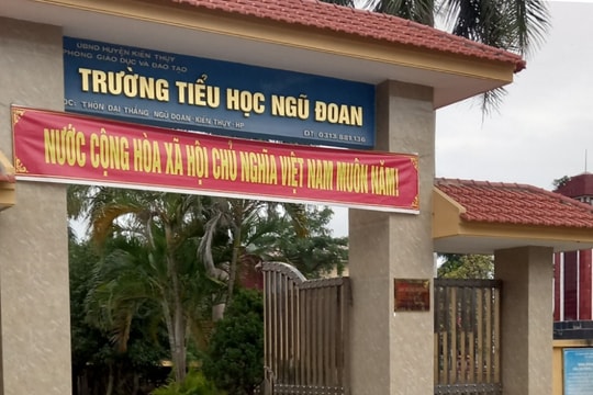 Học sinh Hải Phòng bị đánh tím mông: Đình chỉ công tác giáo viên chủ nhiệm