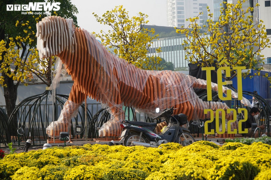 Ảnh: Ngắm linh vật hổ tại đường hoa Nguyễn Huệ