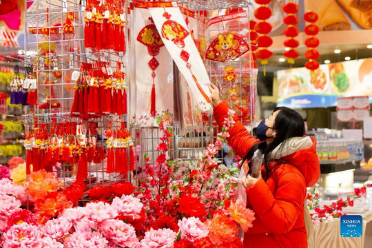 Châu Á trang hoàng rực rỡ, người dân nô nức mua sắm chuẩn bị đón năm Dần