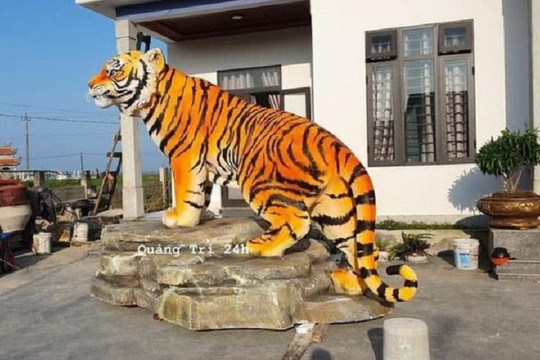 Cộng đồng mạng trầm trồ, khen linh vật hổ ở Quảng Trị đẹp nhất năm nay