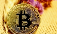 Bitcoin tuần cuối năm đen đủi, vật vã dưới đáy sâu