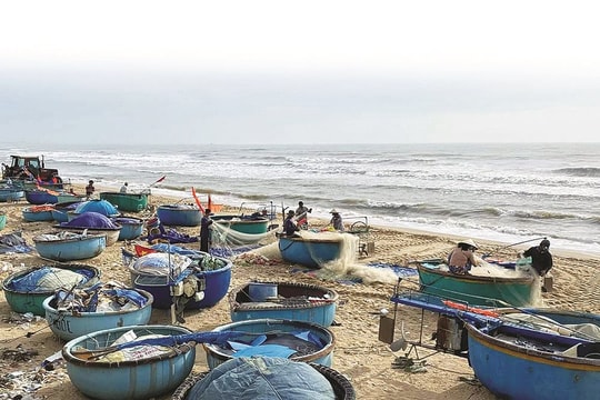 Sắc xuân ở một làng chài