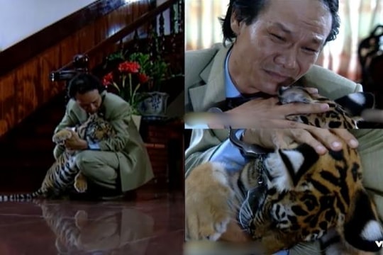 Nam diễn viên Việt suýt mất 'của quý' vì bạn diễn hổ