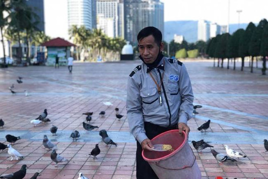 Người đàn ông cả thập kỷ chăm sóc chim bồ câu trong Công viên Biển Đông