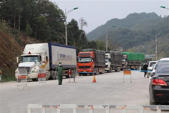 Hơn 100 xe nông sản được thông quan qua cửa khẩu ở Lạng Sơn trong 1 ngày
