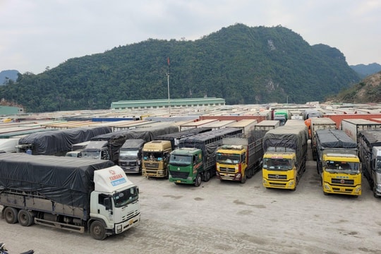 Xử lý nghiêm hành vi lợi dụng ùn tắc hàng hoá để phạm pháp