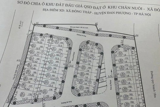 Vụ đấu giá đất nhiều sai phạm ở Hà Nội bị phát giác như thế nào?