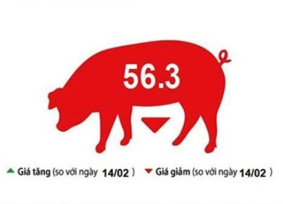 Giá lợn hơi lại tiếp tục giảm, người nuôi không có lãi