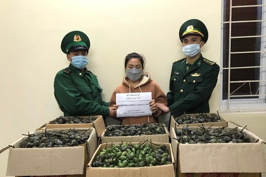 'Nữ quái' 9X sang Lào mua 40kg quả thuốc phiện mang về Thanh Hóa bán kiếm lời
