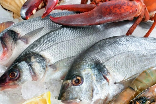 Khoa học chứng minh ăn nhiều cá biển làm giảm phát triển khối u vú đến 50%