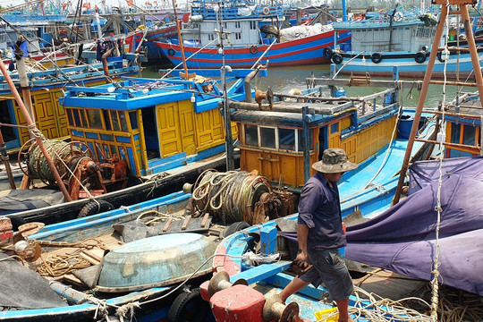 Ngư dân trong 'cơn bão' giá dầu: 'Ra khơi có còn lời lãi được đồng nào không'