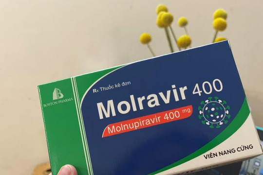 Nhà thuốc sốt ruột muốn bán Molnupiravir nhưng phải chờ hướng dẫn từ Bộ