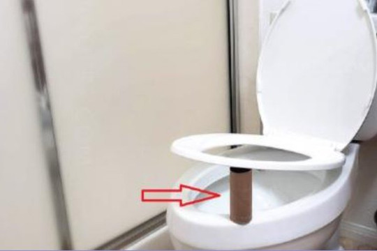 Tại sao bạn nên đặt lõi giấy vệ sinh ở ghế bồn cầu khi sử dụng nhà vệ sinh công cộng?