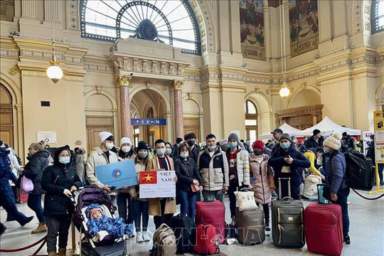 Đại sứ quán Việt Nam tại Hungary hỗ trợ công dân sơ tán từ Ukraine