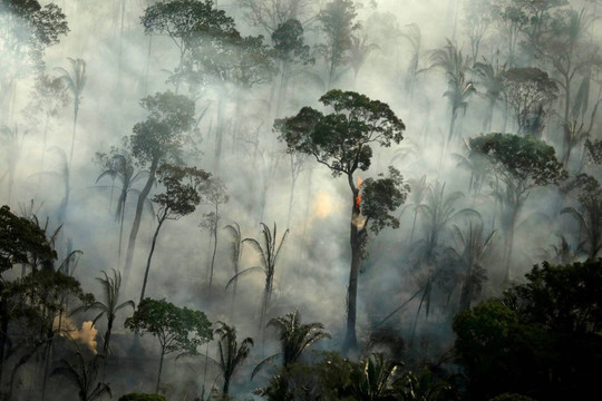 Đáng báo động: Rừng Amazon đang chết dần, sắp hóa thành xavan khô hạn?
