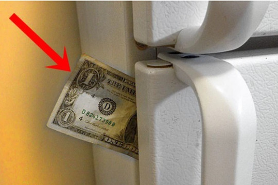 Nhét tờ tiền vào khe cửa tủ lạnh: Phép thử quan trọng giúp tiết kiệm cả triệu tiền điện, nhiều nhà chưa biết