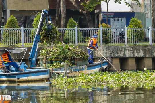 Đội quân đặc biệt giữ màu xanh cho kênh Nhiêu Lộc - Thị Nghè