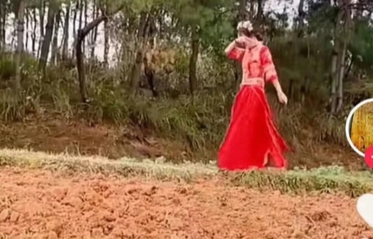 Cô dâu khóc chạy bộ 5km đến nhà chú rể, chuyện tình bi kịch vì sính lễ