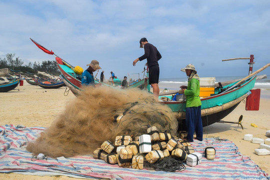 Ảnh: Ngư dân Quảng Bình ‘than dài’ dù trúng đậm ruốc biển, cá trích