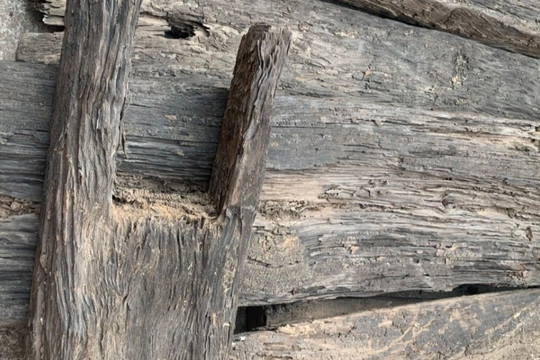 Bãi cọc gỗ bí ẩn ở Bắc Giang: Có thể vẫn còn một lượng gỗ lớn dưới lòng đất