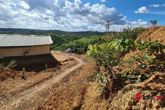 Lãnh đạo huyện Đắk Glong thông tin về quyết định thu hồi hàng chục ha đất cấp trái phép