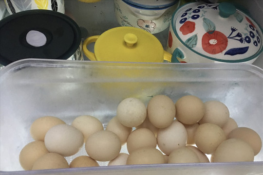 Cách bảo quản trứng gia cầm trong tủ lạnh an toàn