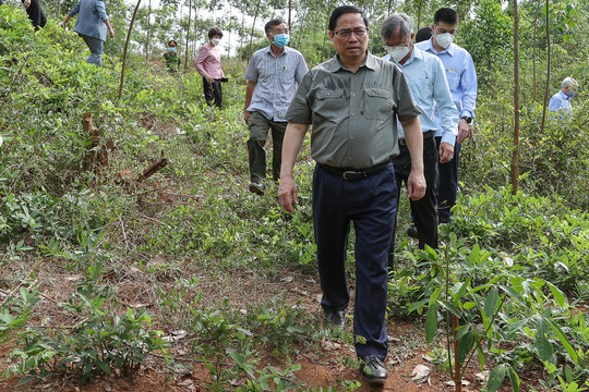 Thủ tướng khảo sát, dự lễ khánh thành một số dự án lớn tại Bình Phước