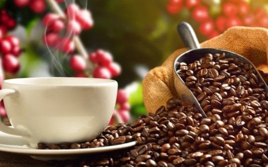 Giá cà phê hôm nay 23/3: Giới đầu cơ quay lại tăng mua, Việt Nam còn nhiều dư địa đẩy mạnh xuất khẩu sang EU
