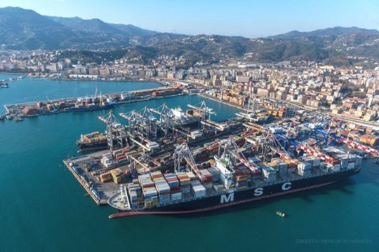 100 container hạt điều xuất sang Italia nghi bị lừa: DN đã tái xuất khẩu
