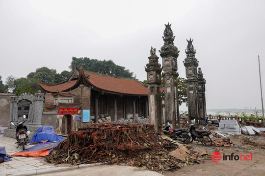 Hà Nội: Tu sửa đình cổ hơn 2000 năm, cây đa lớn trước cổng bị chặt khiến người dân tiếc nuối bật khóc