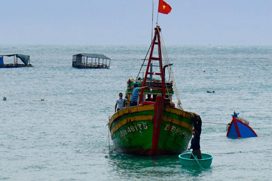 4 tàu cá Bình Định hỗ trợ tìm kiếm ngư dân rơi xuống biển, mất tích