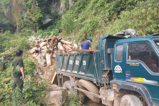 Những bất thường xung quanh vụ bảo vệ công ty khoáng sản chặt phá rừng