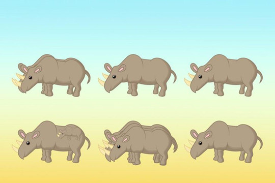 Có bao nhiêu con tê giác trong bức tranh?