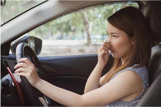 Mẹo vặt xử lý mùi hôi và nấm mốc trong xe ô tô hiệu quả tức thì cho xe sạch thơm cả ngày