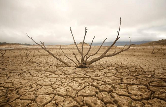 Vùng Sừng châu Phi hứng chịu hạn hán tồi tệ nhất trong nhiều thập kỷ