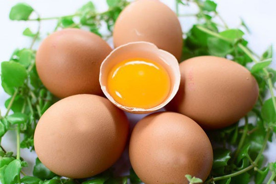 5 tác dụng khi ăn lòng đỏ trứng gà