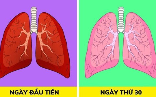 8 cách thải độc phổi tự nhiên, F0 khỏi bệnh cũng nên áp dụng để cải thiện sức khoẻ