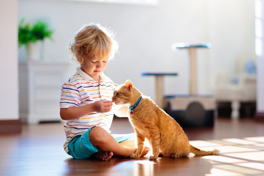 Những cách dạy trẻ học về các con vật hiệu quả, bé vừa tiếp thu nhanh vừa kích thích trí não
